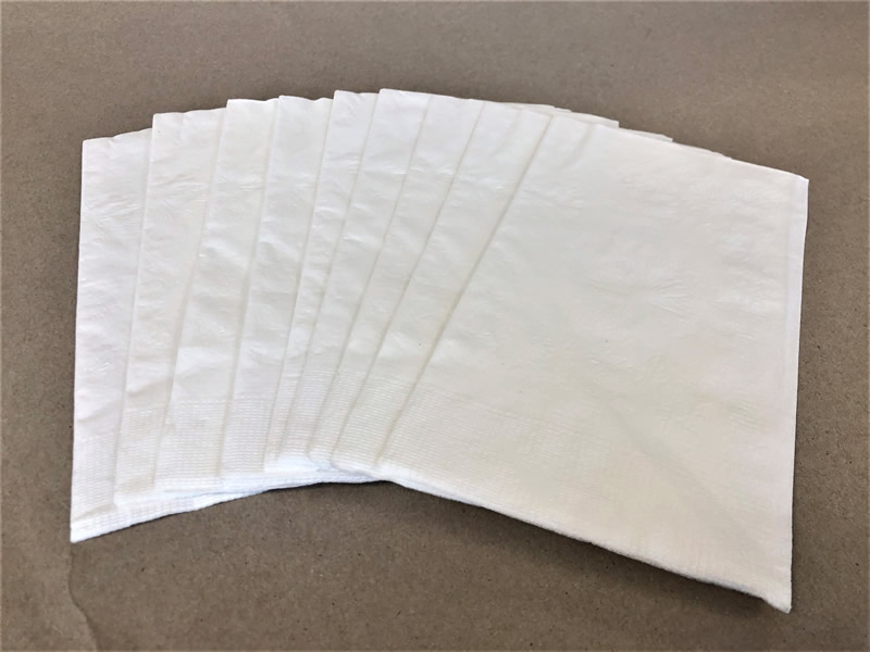 2 Ply White Dinner Sugarcane Napkin 